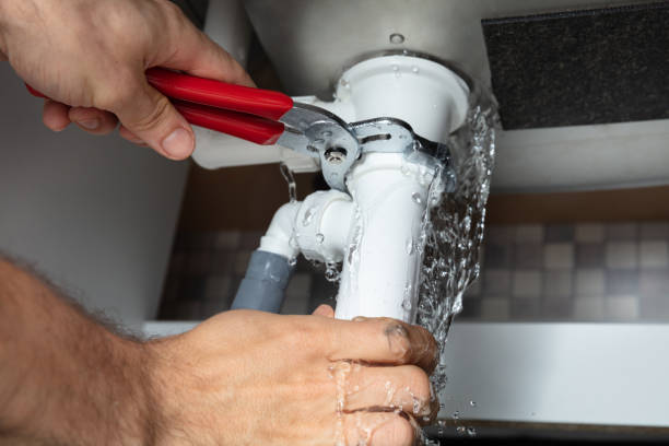 Best Water damage cleanup near me  in Silver Lake, FL