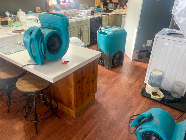 Best Water damage restoration near me  in Silver Lake, FL