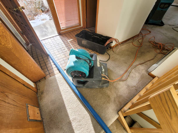 Best Commercial water damage restoration  in Silver Lake, FL
