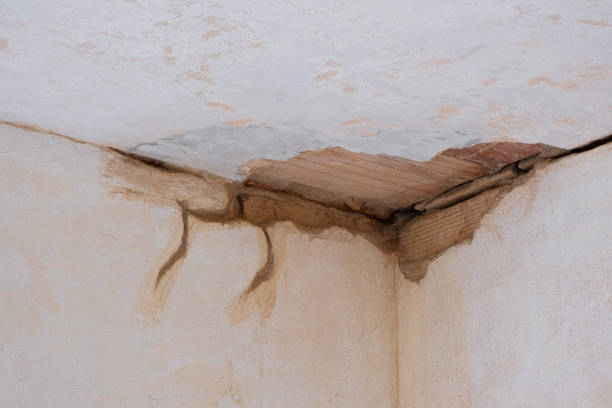 Best Sewage cleanup and water damage restoration  in Silver Lake, FL