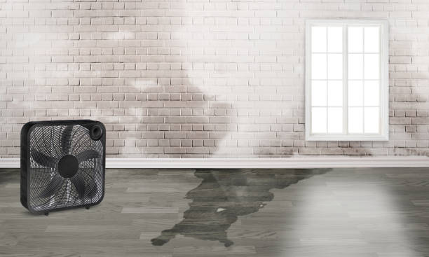 Best 24-hour water damage restoration  in Silver Lake, FL