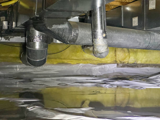 Best Fire Damage Restoration  in Silver Lake, FL