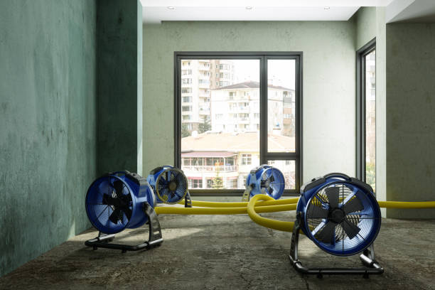 Best Water damage restoration near me  in Silver Lake, FL